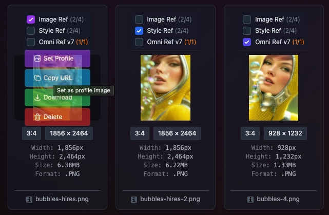 Image hover controls showing Set Profile, Copy URL, Download, and Delete buttons